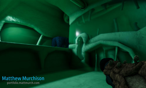 Part of a level set in the fluids processing are of the living ship.