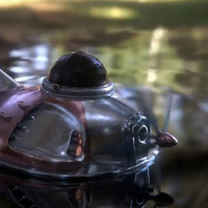 Zoopercar